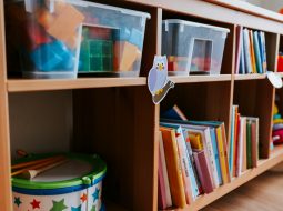 Creating Order Among the Pages Tips for Organizing Your Home Library