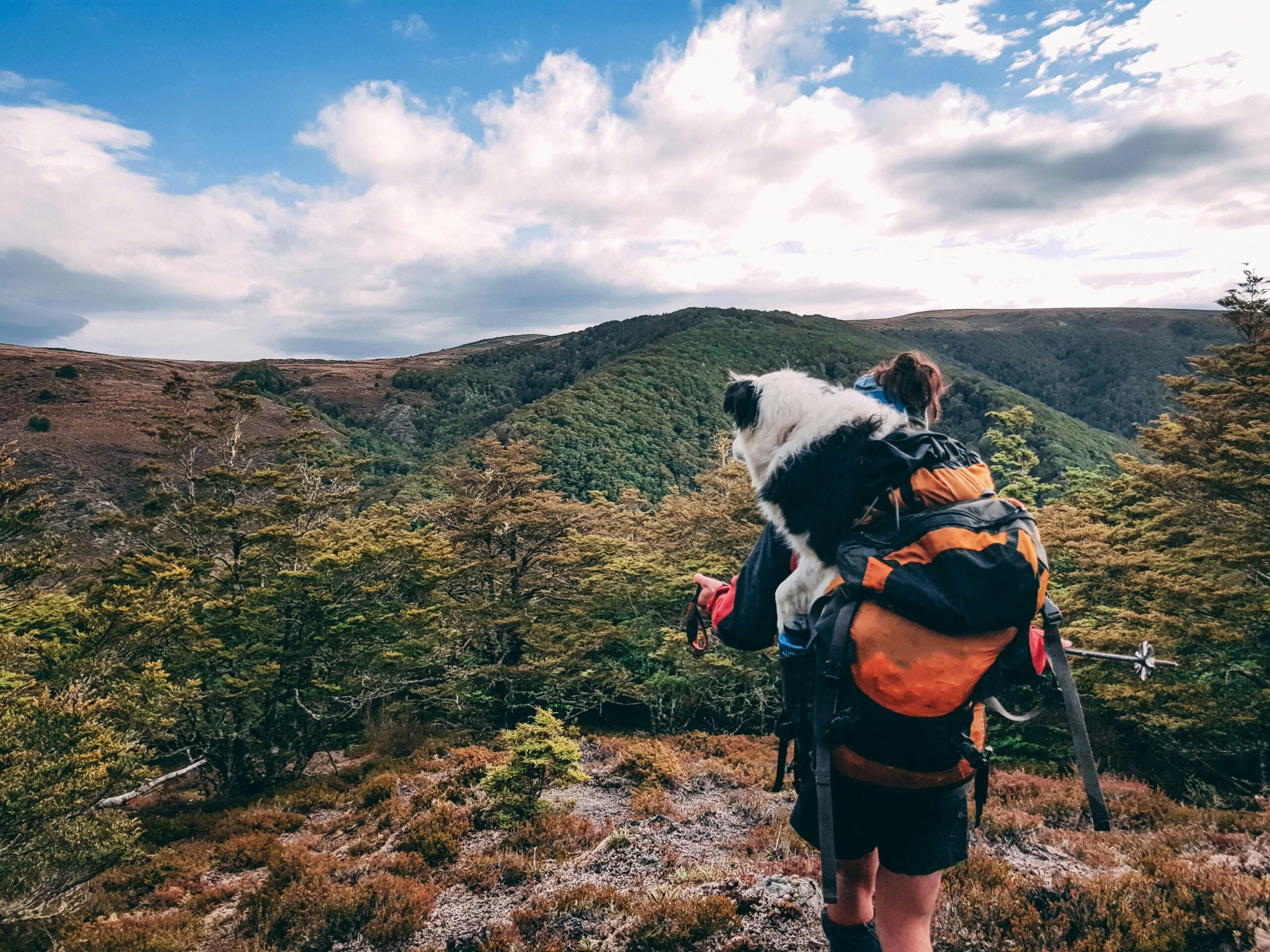 Long-Distance Hiking