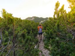 Nature’s Path to Clarity: Exploring the Mental Health Benefits of Regular Hiking