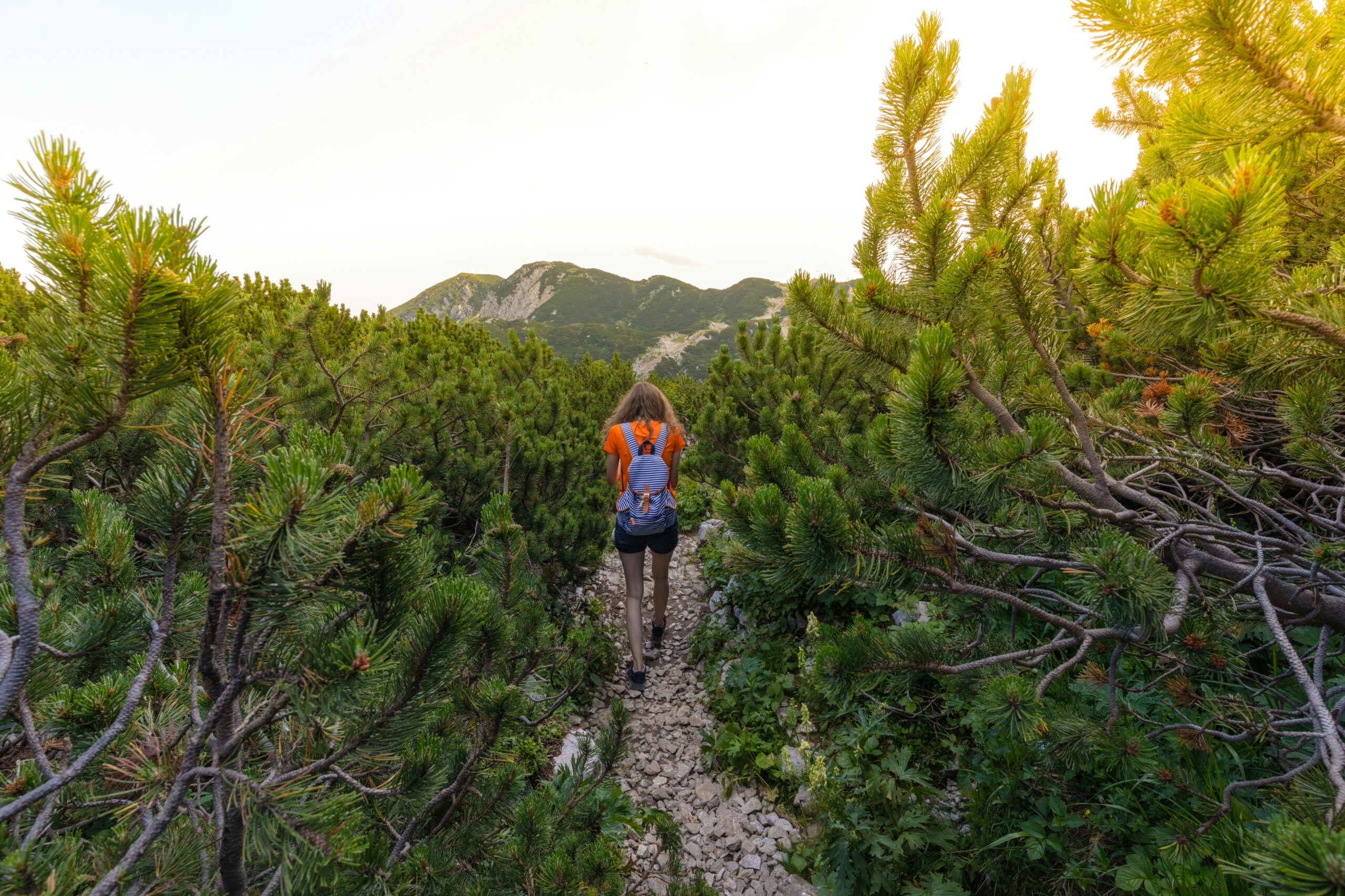 Nature’s Path to Clarity: Exploring the Mental Health Benefits of Regular Hiking